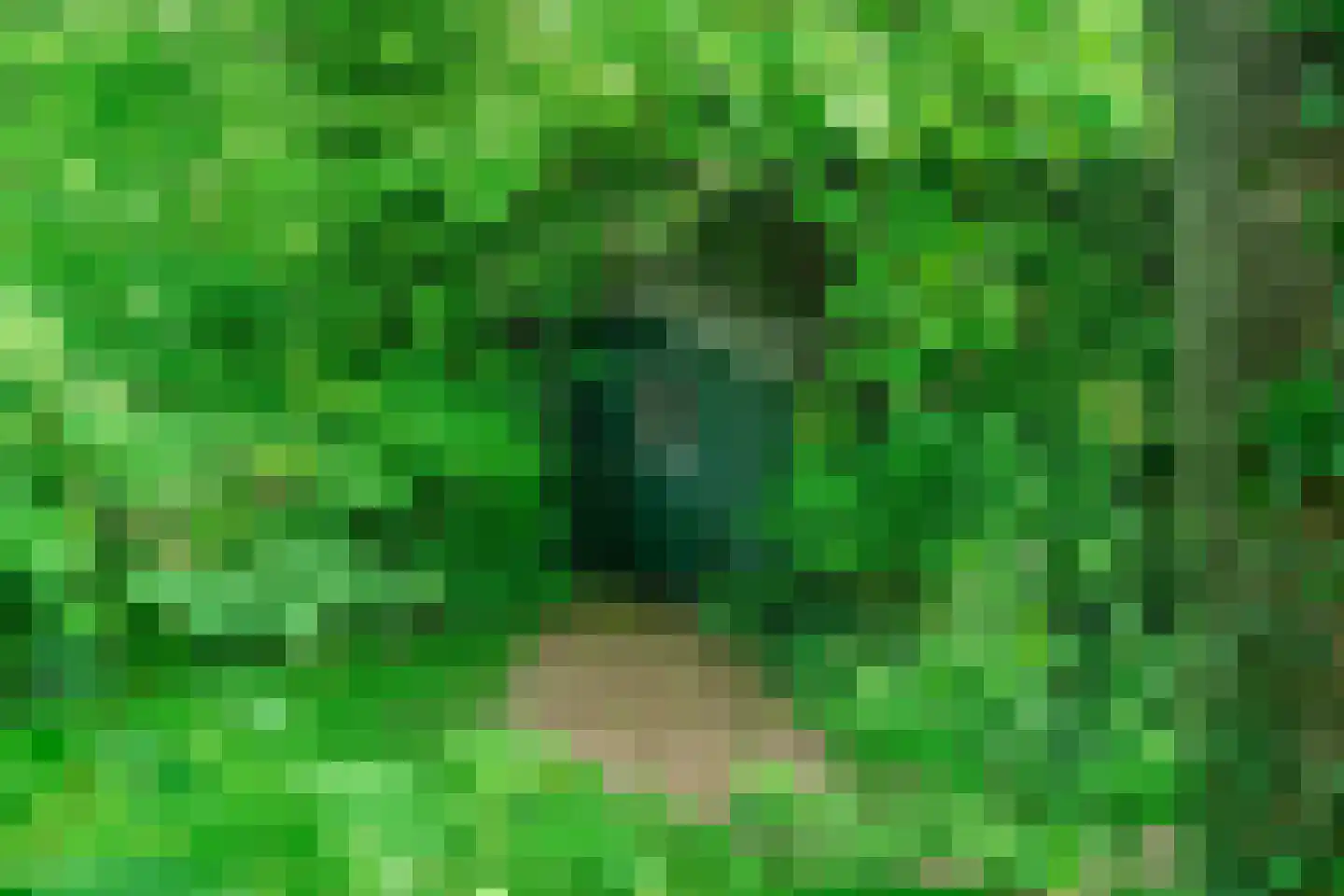 Oudburgerlaan 41 Heiloo thumbnail 43
