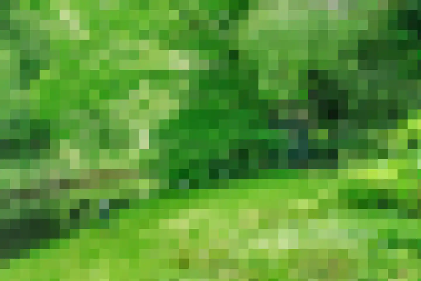 Oudburgerlaan 41 Heiloo thumbnail 44
