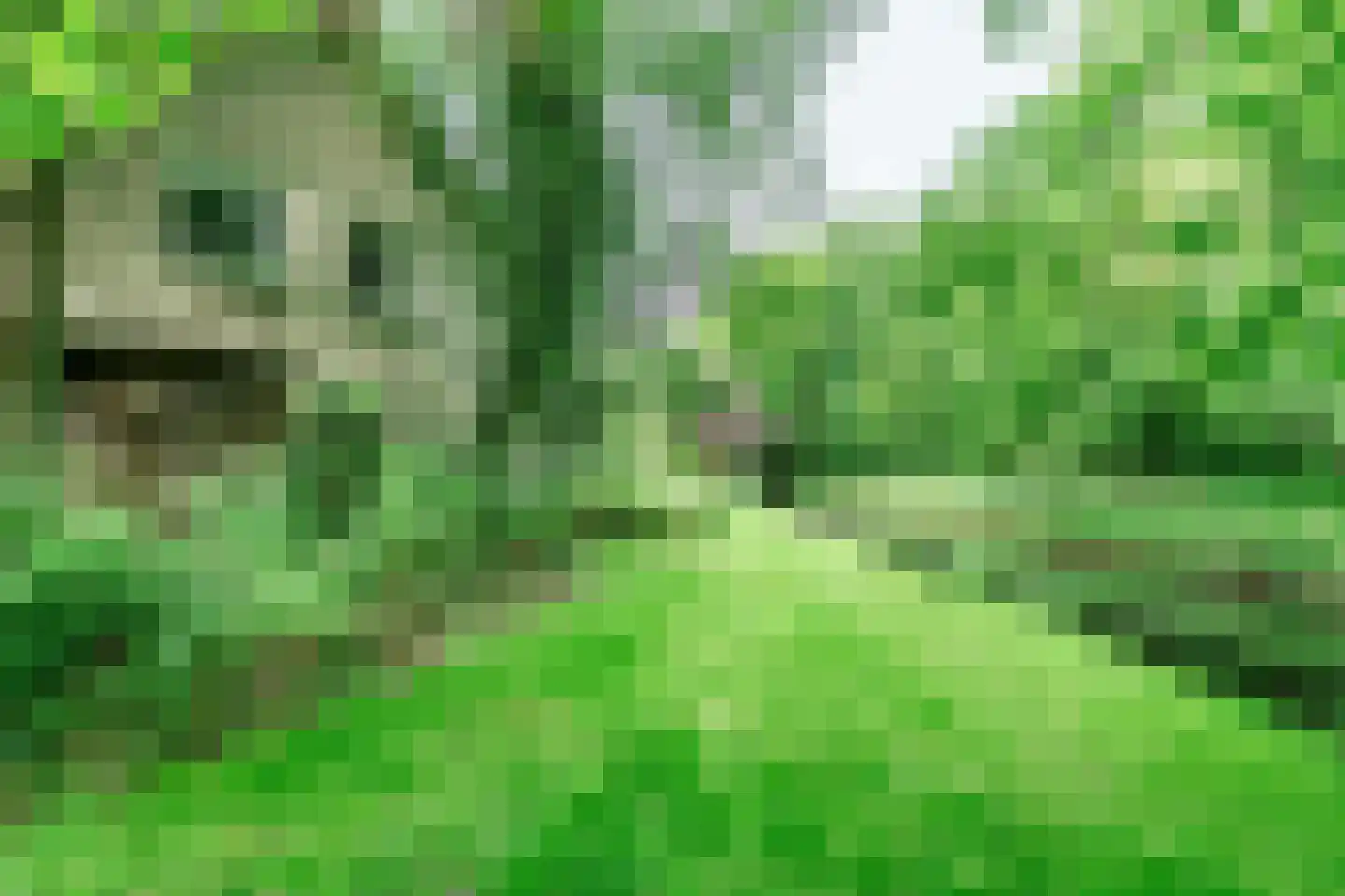 Oudburgerlaan 41 Heiloo thumbnail 45