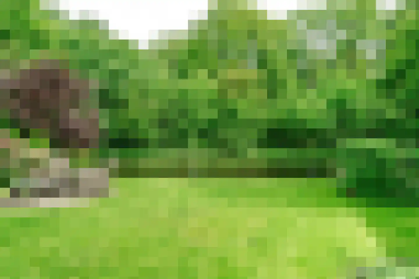 Oudburgerlaan 41 Heiloo thumbnail 47