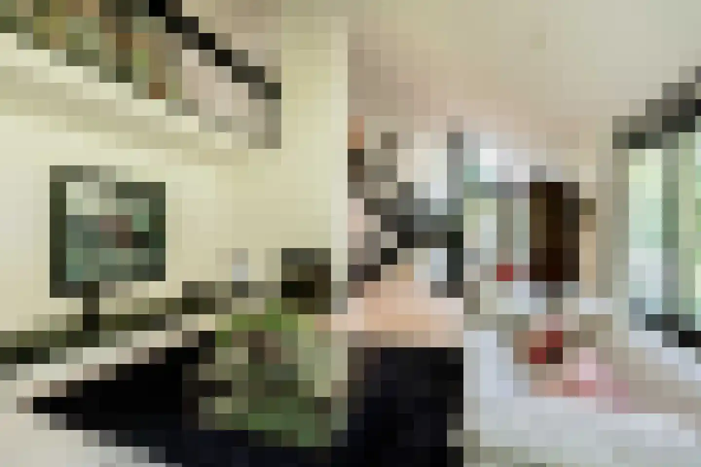 Oudburgerlaan 41 Heiloo thumbnail 5