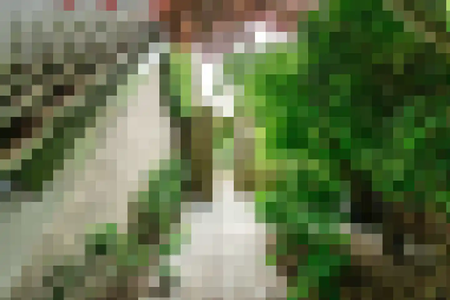 Oudburgerlaan 41 Heiloo thumbnail 53
