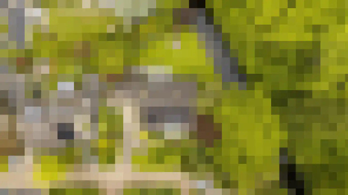 Oudburgerlaan 41 Heiloo thumbnail 56