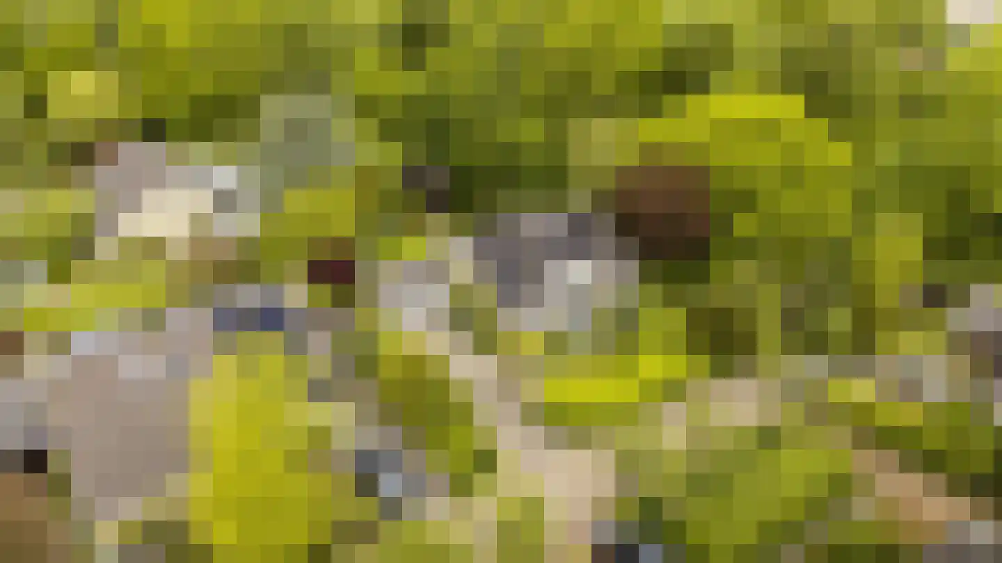 Oudburgerlaan 41 Heiloo thumbnail 57
