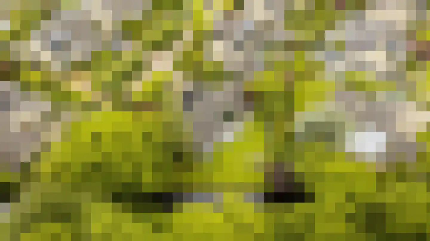 Oudburgerlaan 41 Heiloo thumbnail 60