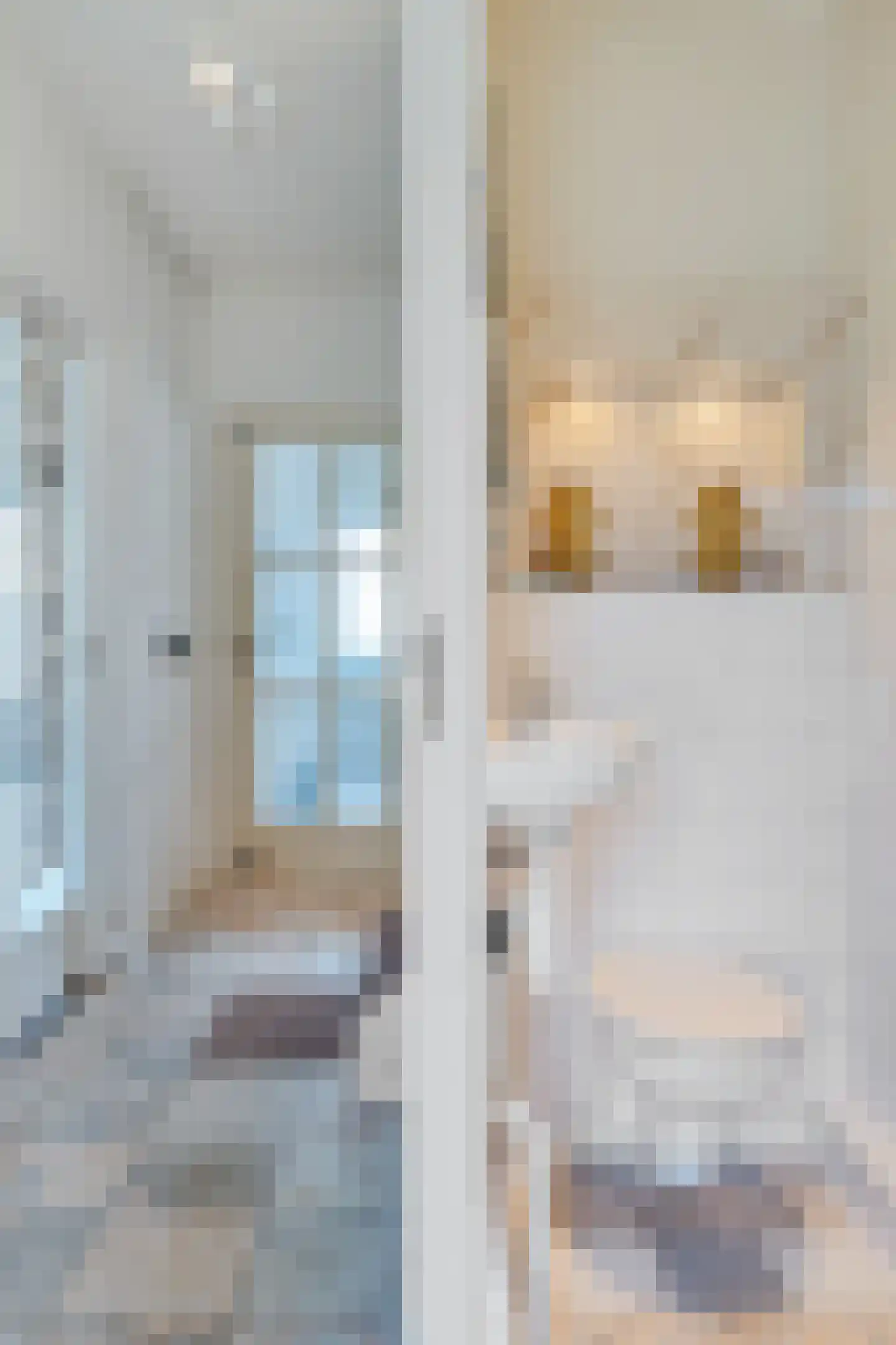 Ouddiemerlaan 100 Diemen thumbnail 13