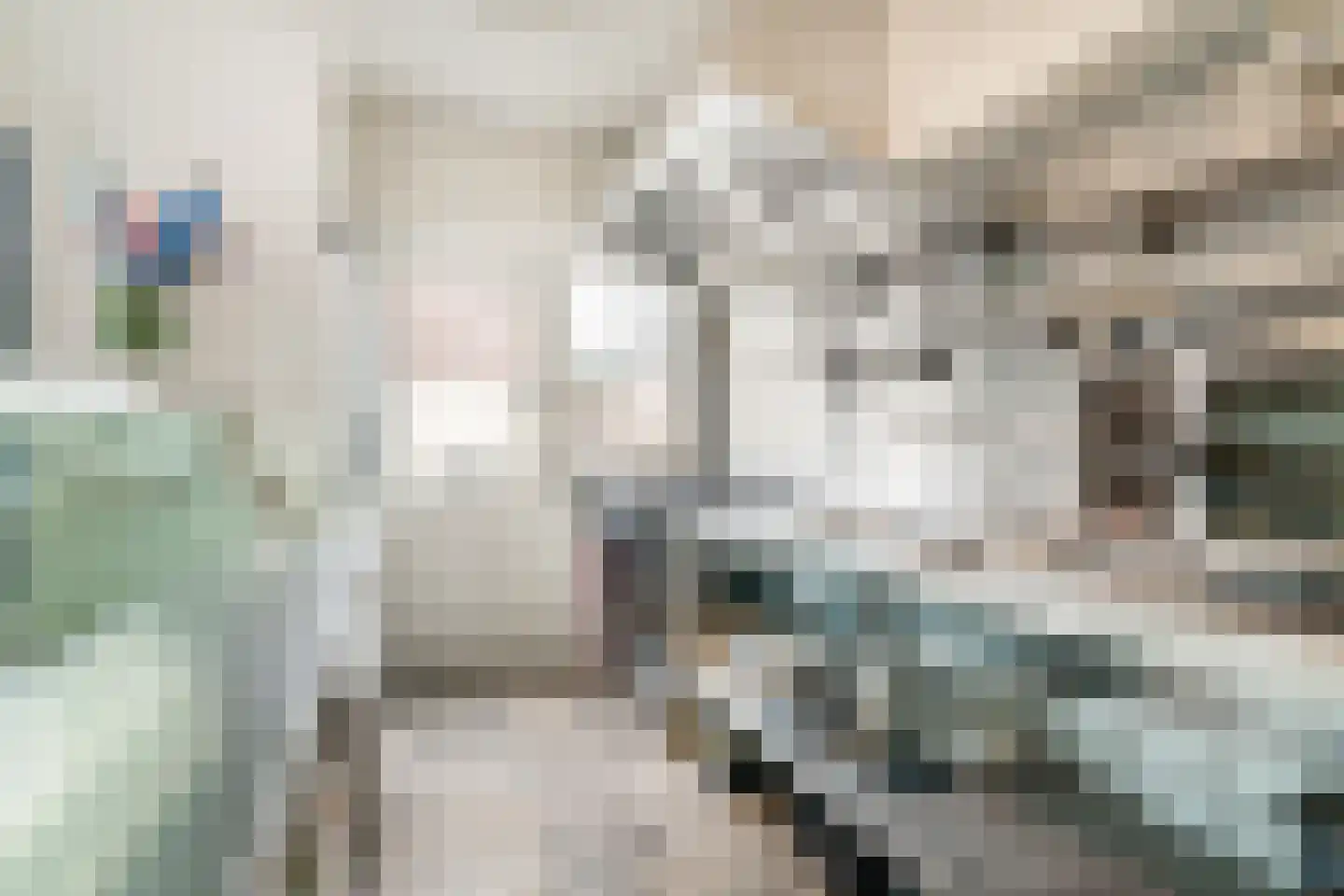 Ouddiemerlaan 100 Diemen thumbnail 14