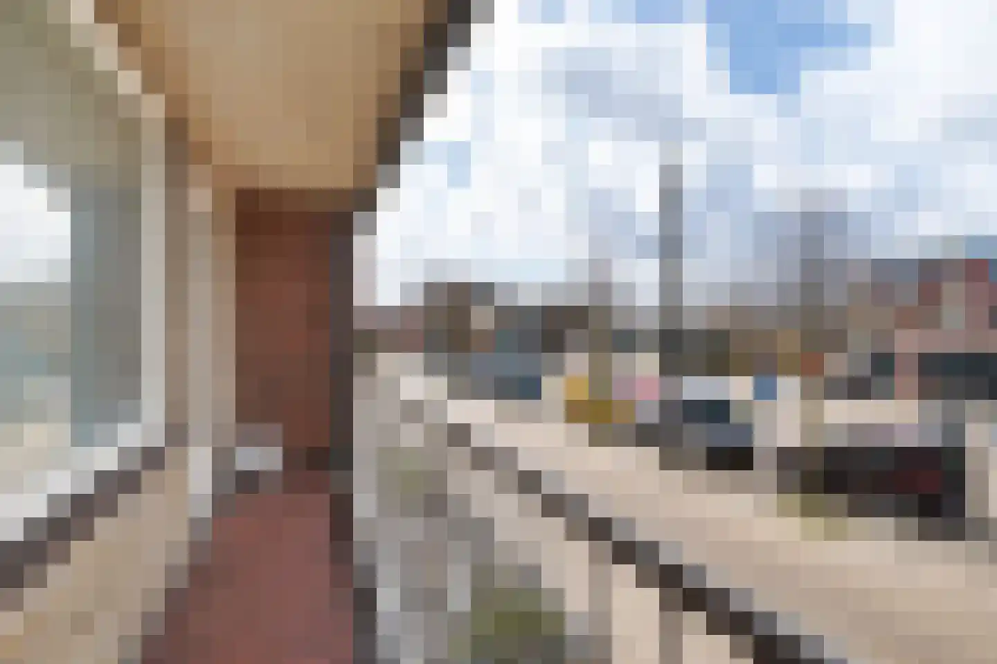 Ouddiemerlaan 100 Diemen thumbnail 21