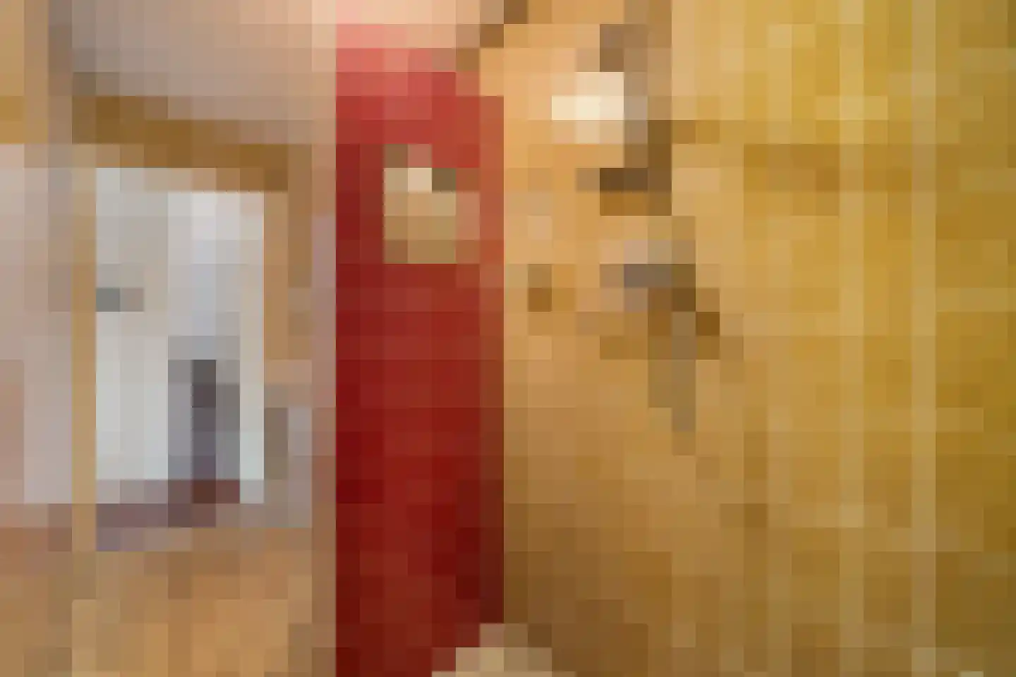 Ouddiemerlaan 100 Diemen thumbnail 25