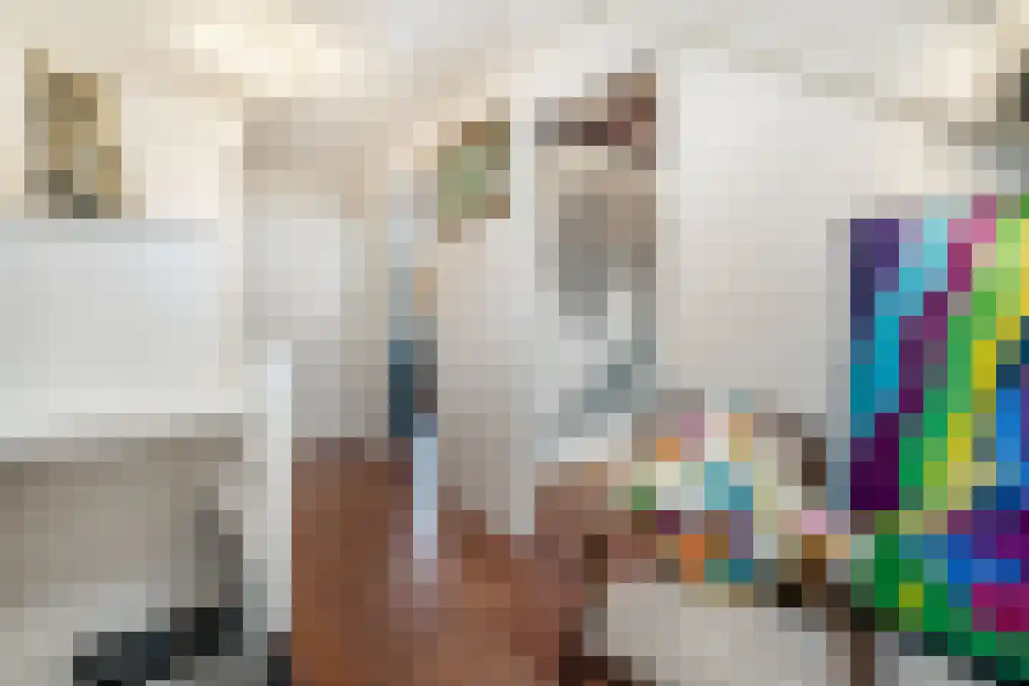Ouddiemerlaan 100 Diemen thumbnail 27