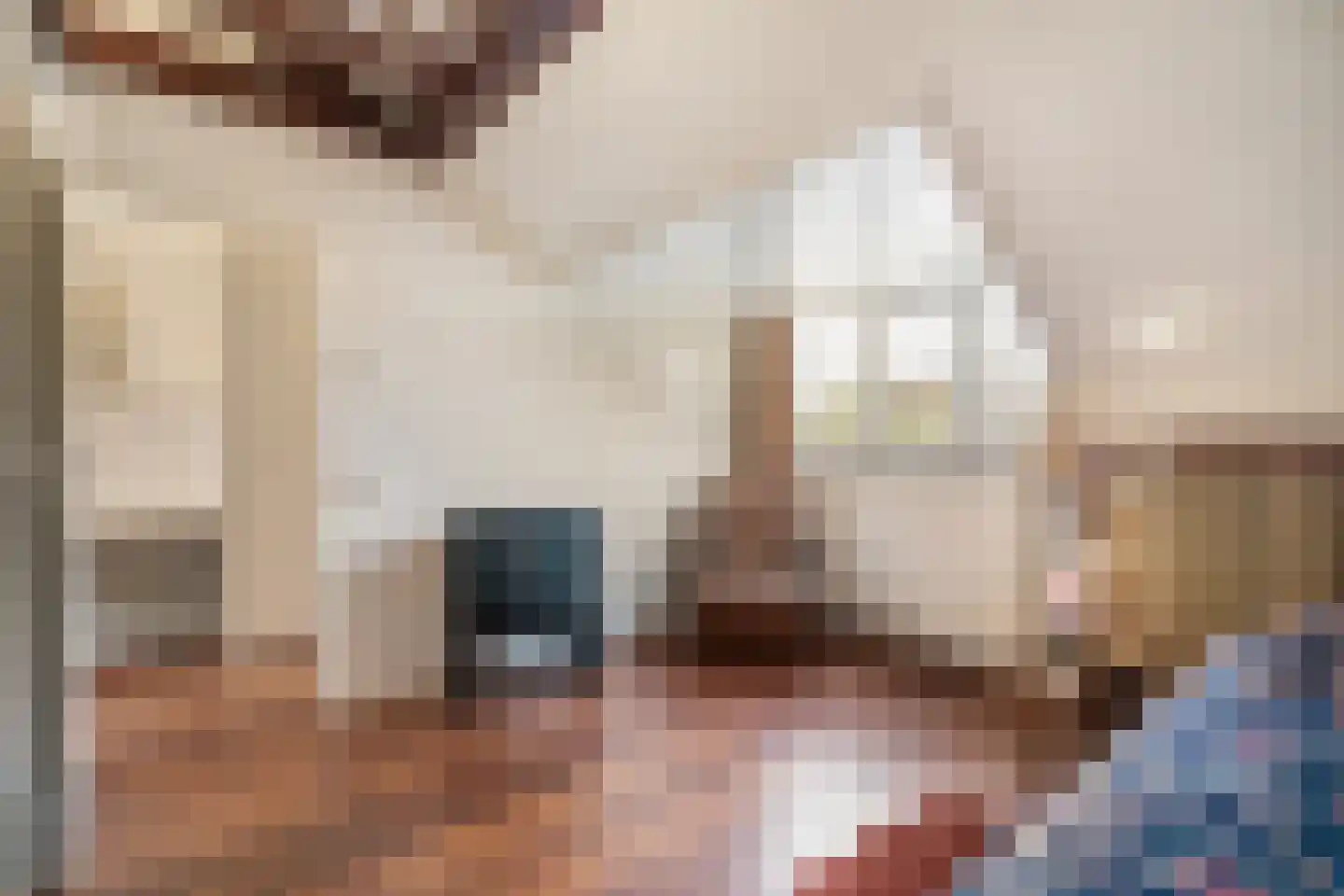 Ouddiemerlaan 100 Diemen thumbnail 29