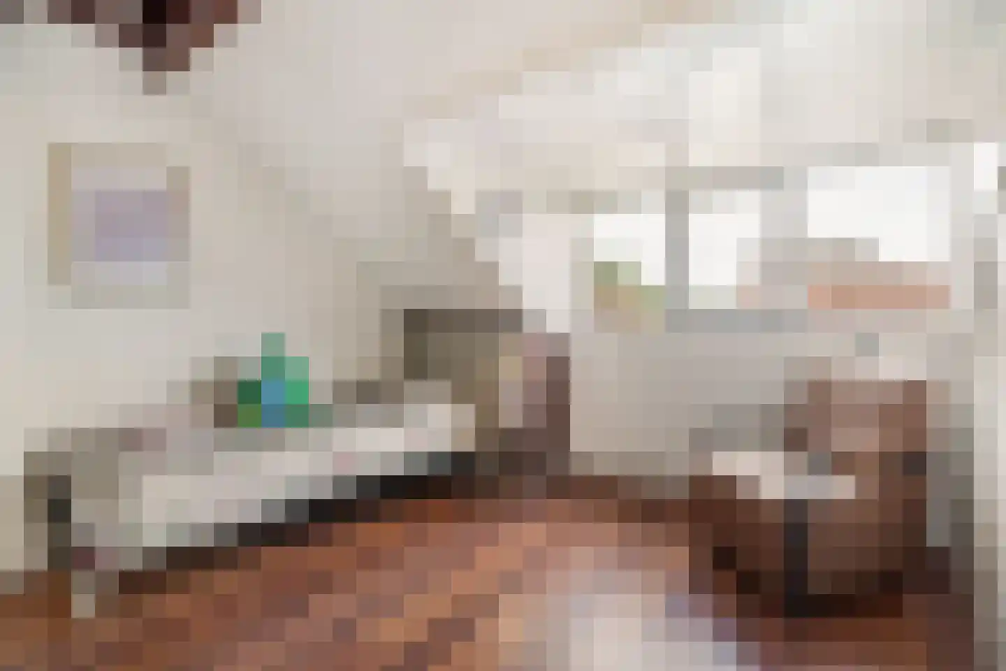 Ouddiemerlaan 100 Diemen thumbnail 30