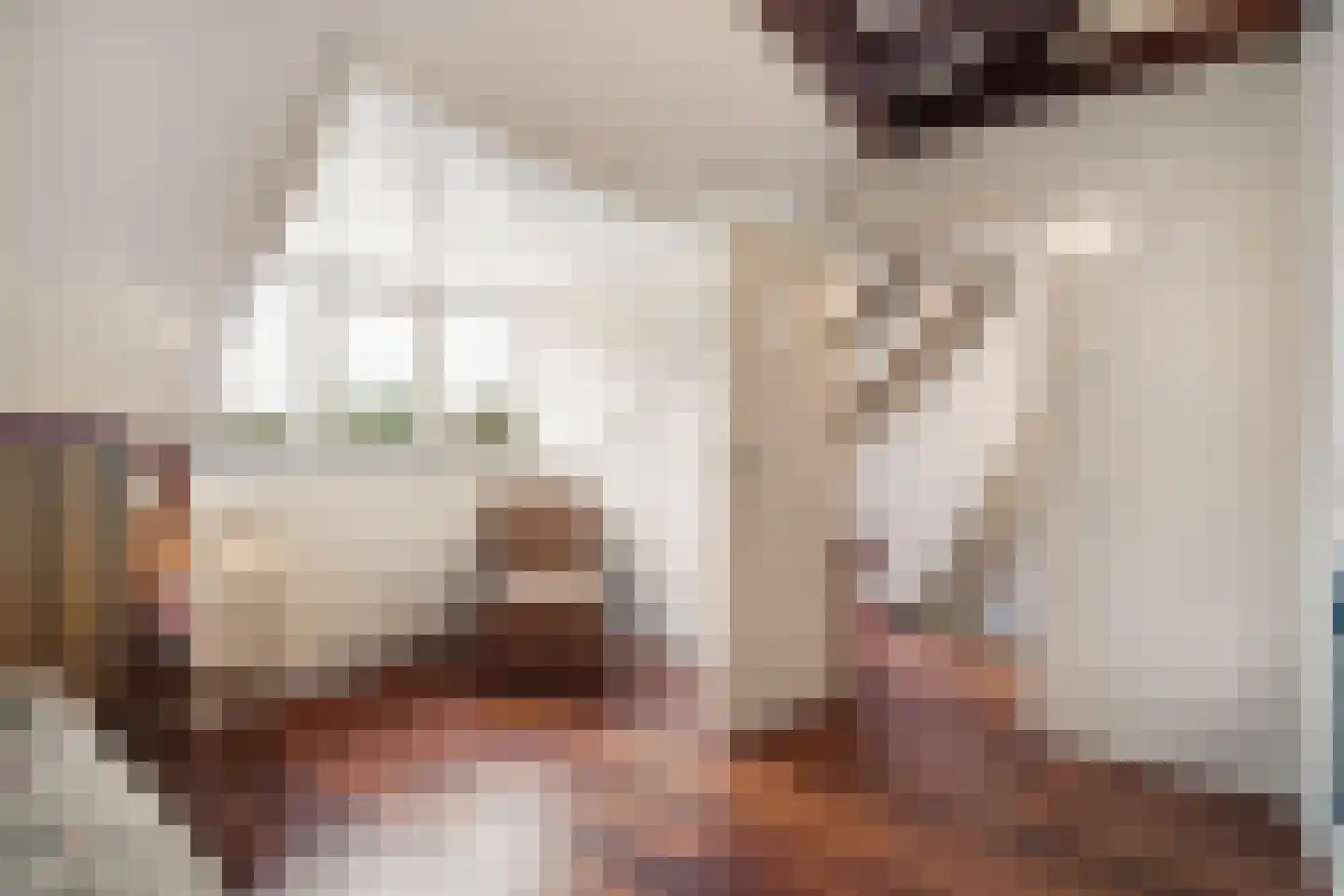 Ouddiemerlaan 100 Diemen thumbnail 31