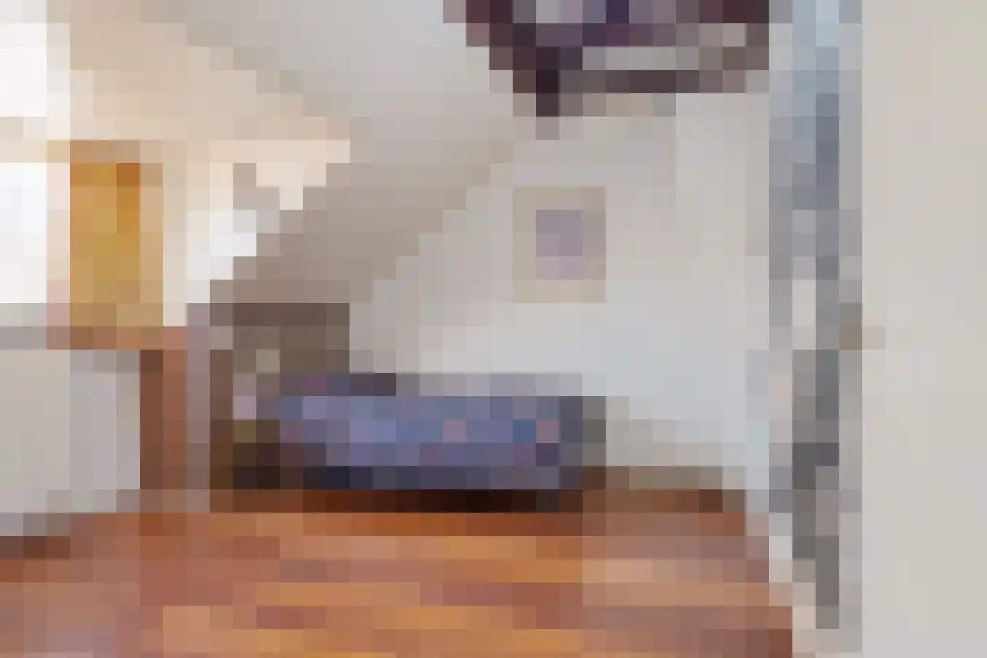 Ouddiemerlaan 100 Diemen thumbnail 36