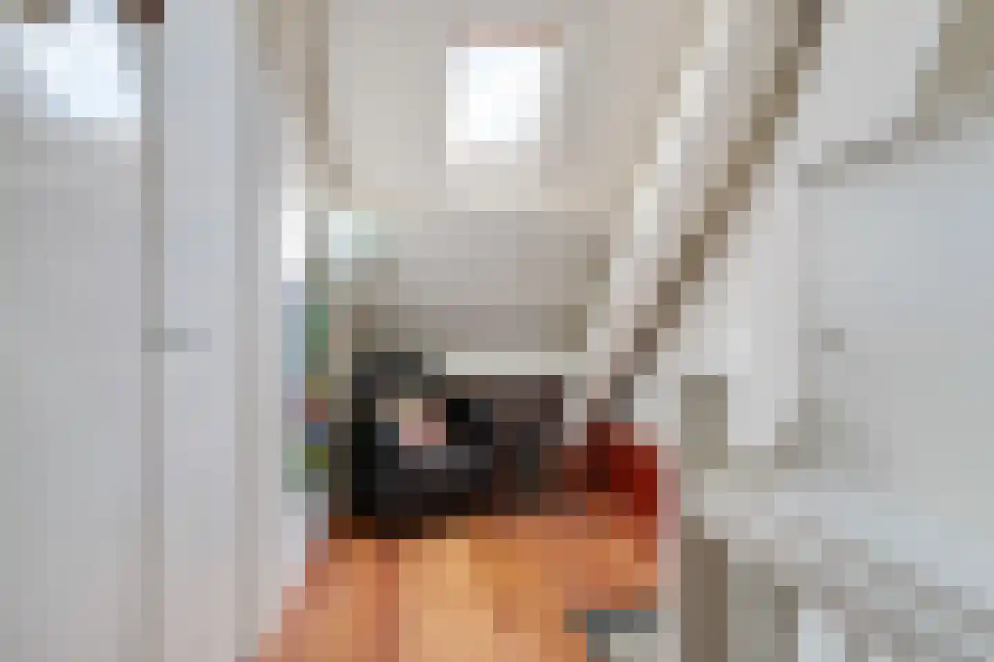 Ouddiemerlaan 100 Diemen thumbnail 40