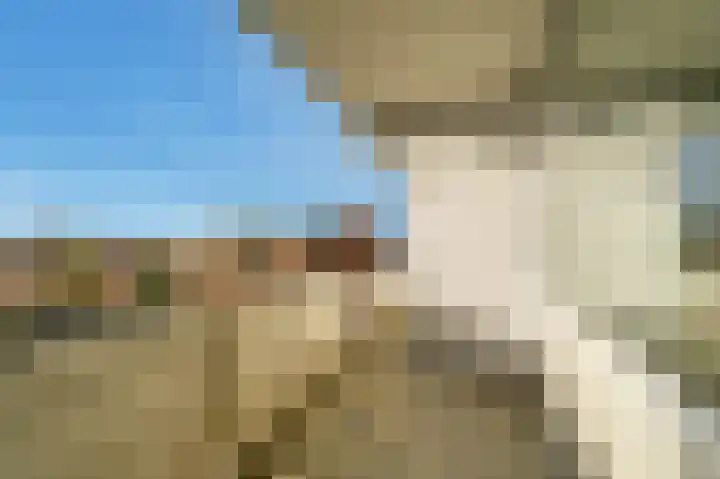 Ouddiemerlaan 129 Diemen thumbnail 22