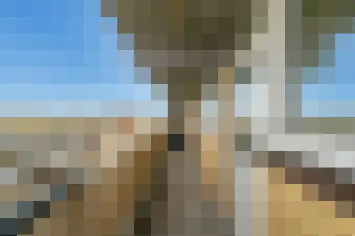 Ouddiemerlaan 129 Diemen thumbnail 27