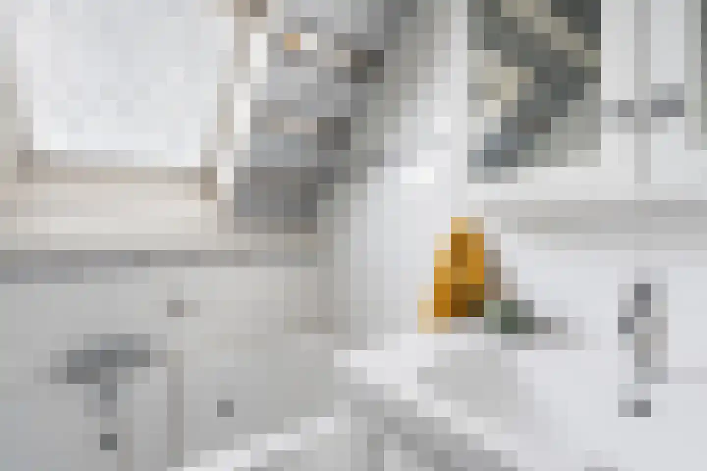 Ouddiemerlaan 13 Diemen thumbnail 30