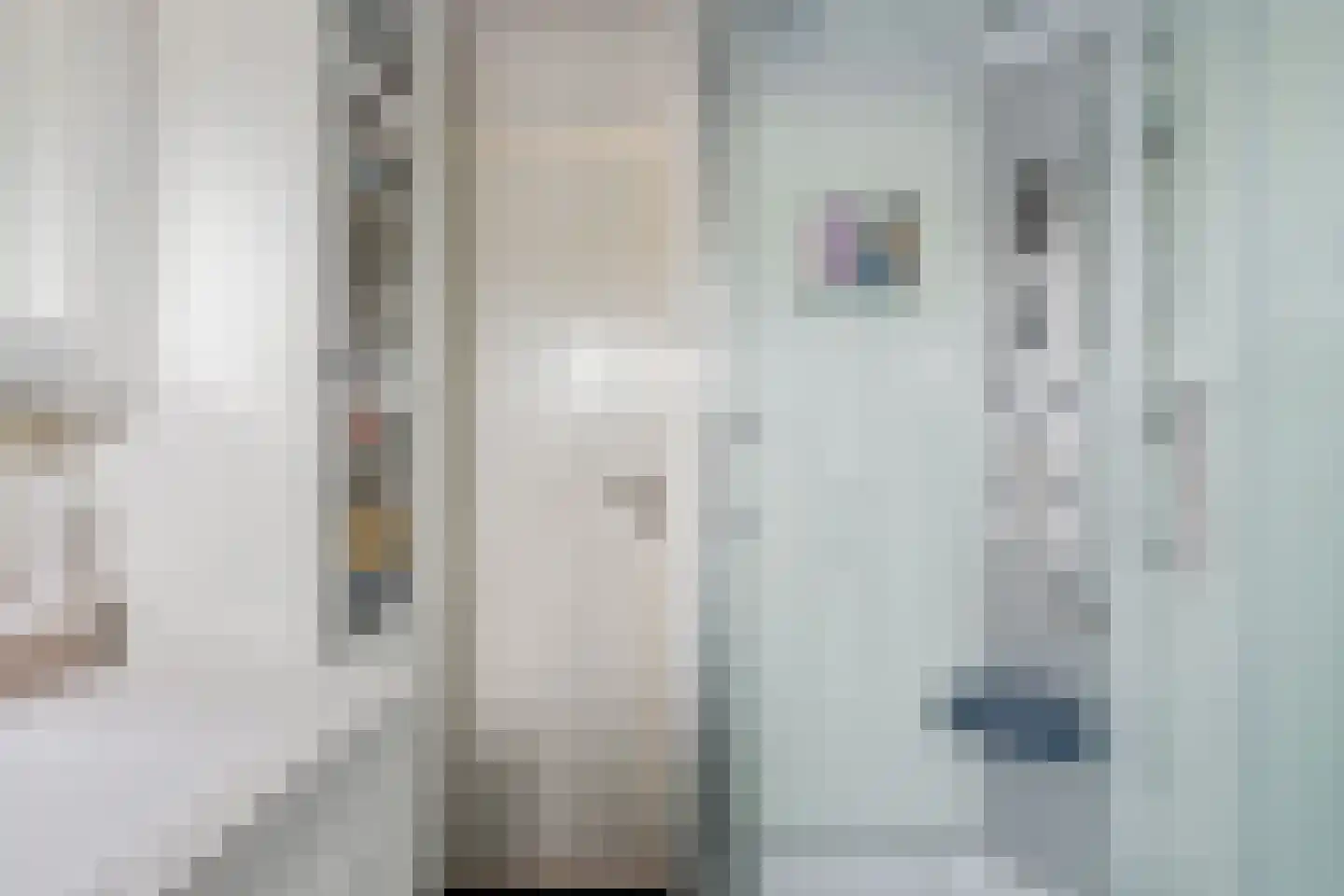 Ouddiemerlaan 13 Diemen thumbnail 32