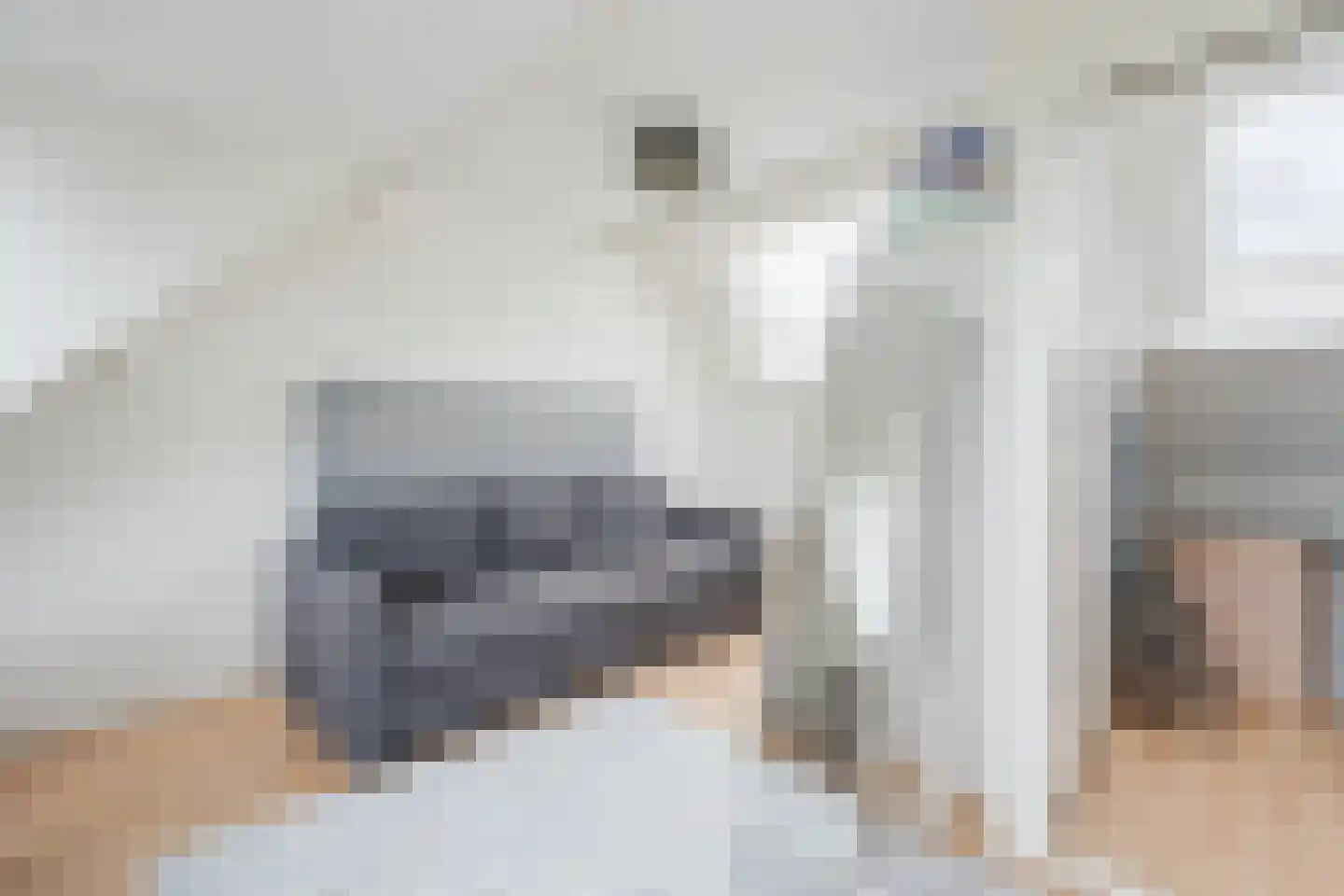 Ouddiemerlaan 13 Diemen thumbnail 36