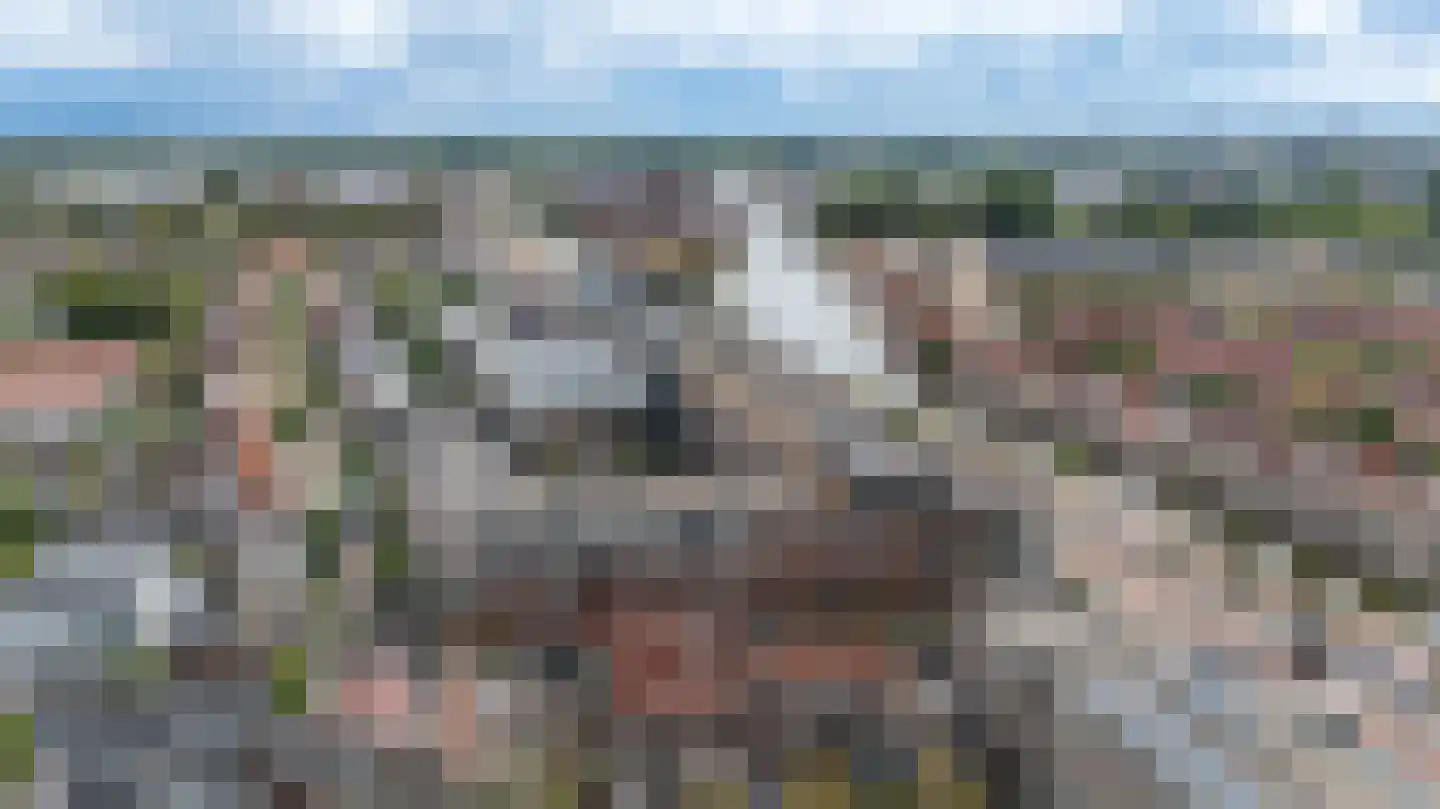 Ouddiemerlaan 13 Diemen thumbnail 46