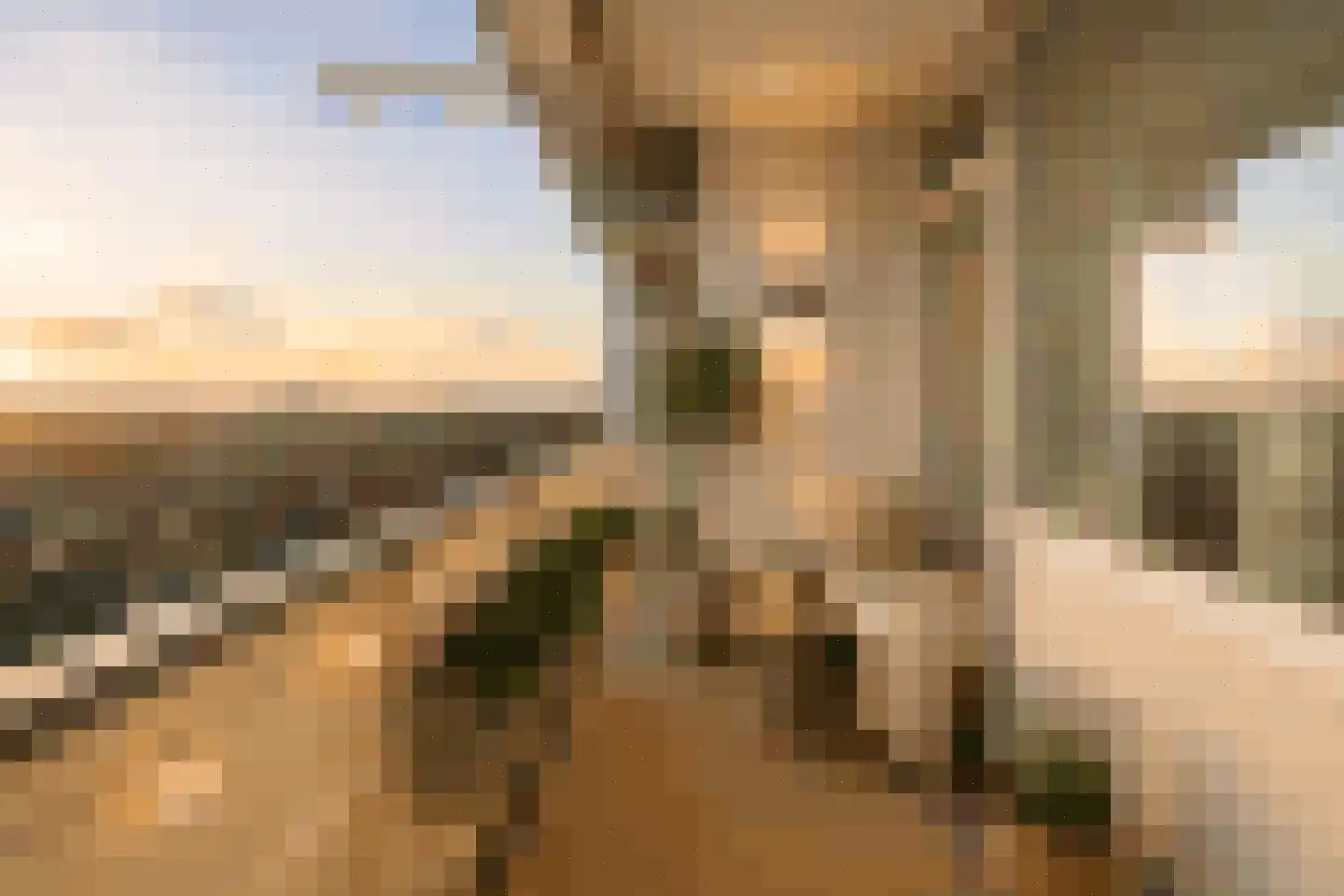 Ouddiemerlaan 143 Diemen thumbnail 4