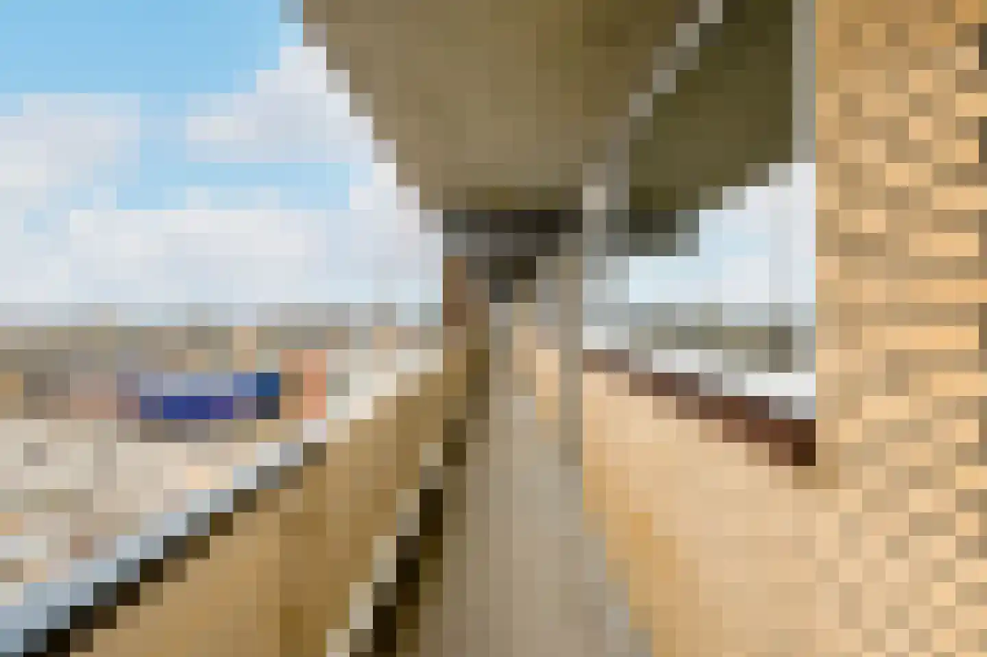 Ouddiemerlaan 159 Diemen thumbnail 36