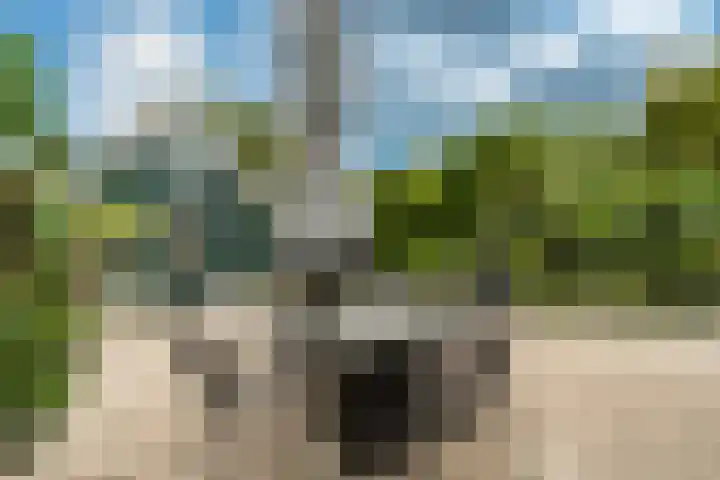 Ouddiemerlaan 168 Diemen thumbnail 26
