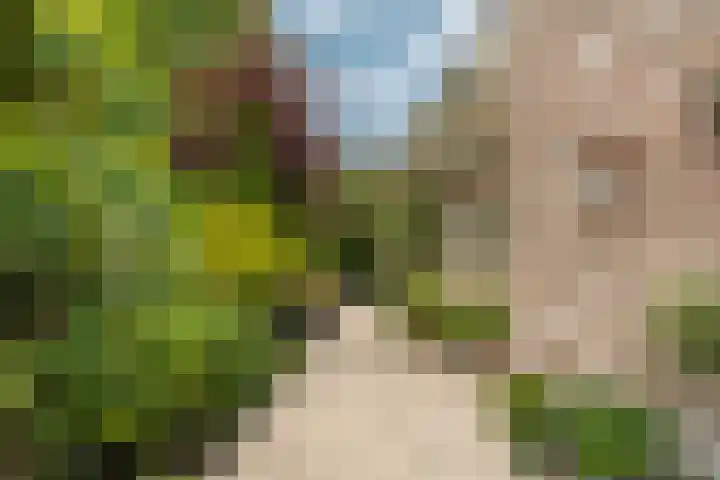 Ouddiemerlaan 168 Diemen thumbnail 29