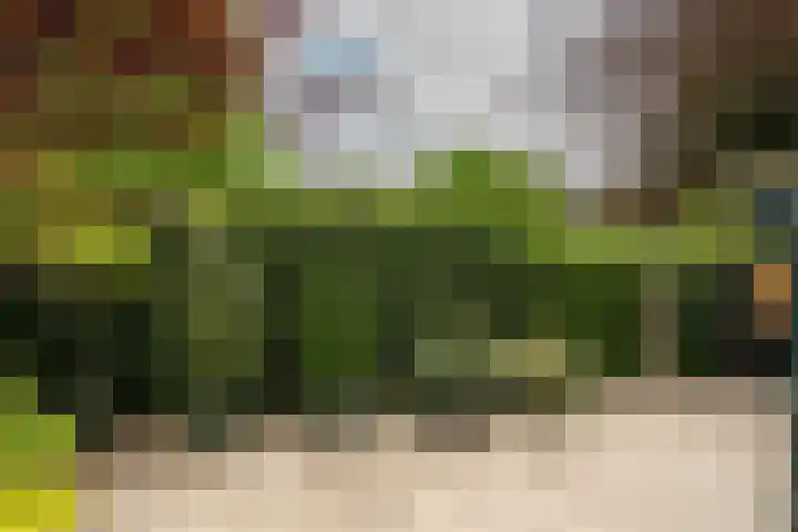 Ouddiemerlaan 168 Diemen thumbnail 32