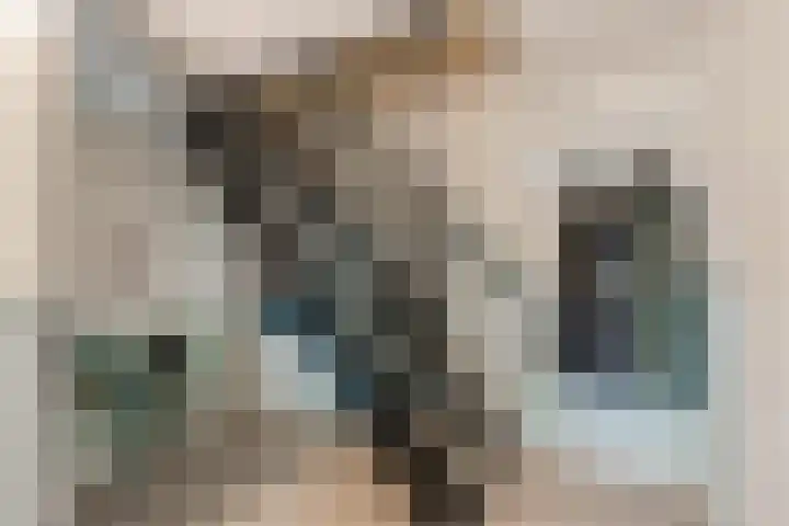 Ouddiemerlaan 168 Diemen thumbnail 33