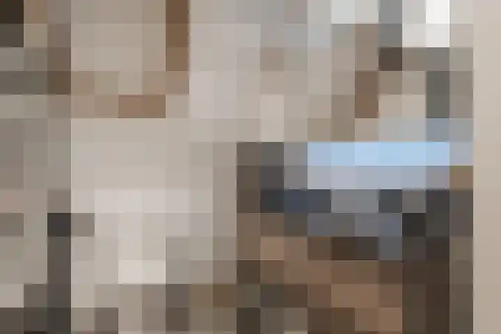 Ouddiemerlaan 168 Diemen thumbnail 43