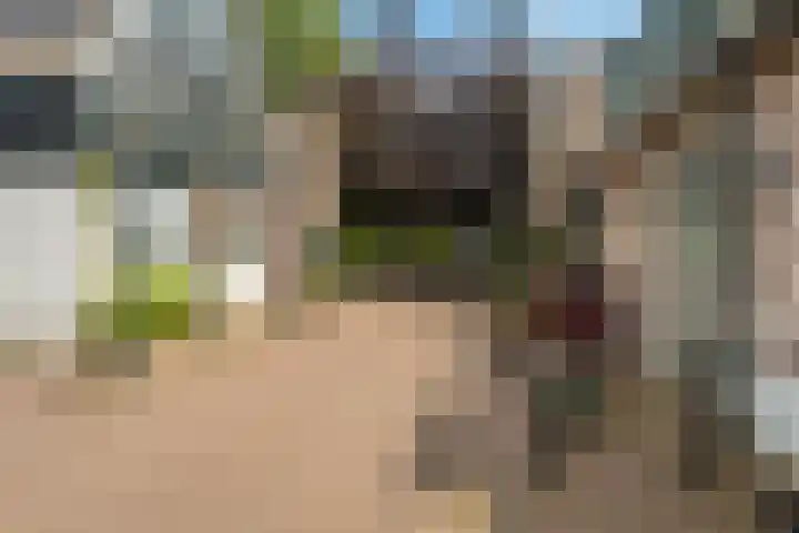 Ouddiemerlaan 168 Diemen thumbnail 51
