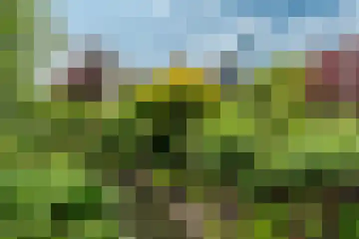 Ouddiemerlaan 168 Diemen thumbnail 54