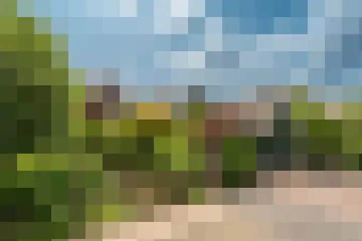 Ouddiemerlaan 168 Diemen thumbnail 55