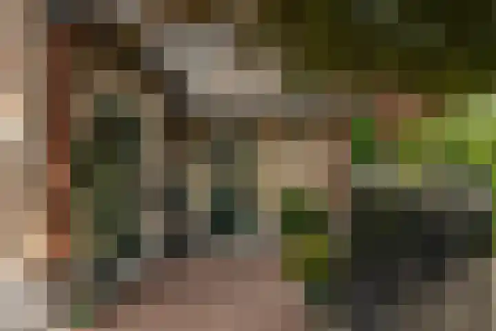 Ouddiemerlaan 168 Diemen thumbnail 6