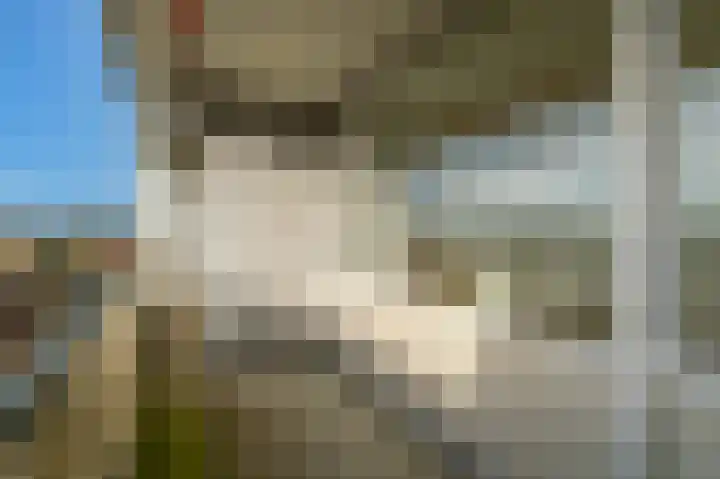 Ouddiemerlaan 189 Diemen thumbnail 20