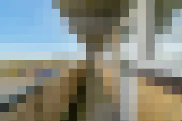 Ouddiemerlaan 189 Diemen thumbnail 33