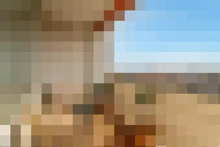 Ouddiemerlaan 189 Diemen thumbnail 4