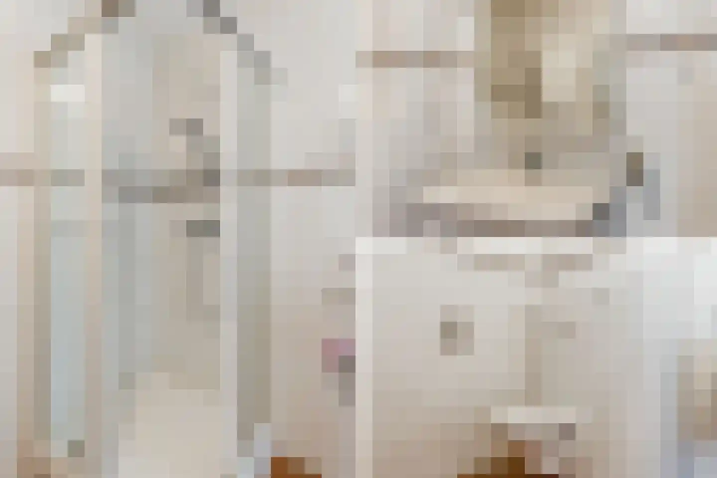 Ouddiemerlaan 2 H Diemen thumbnail 26