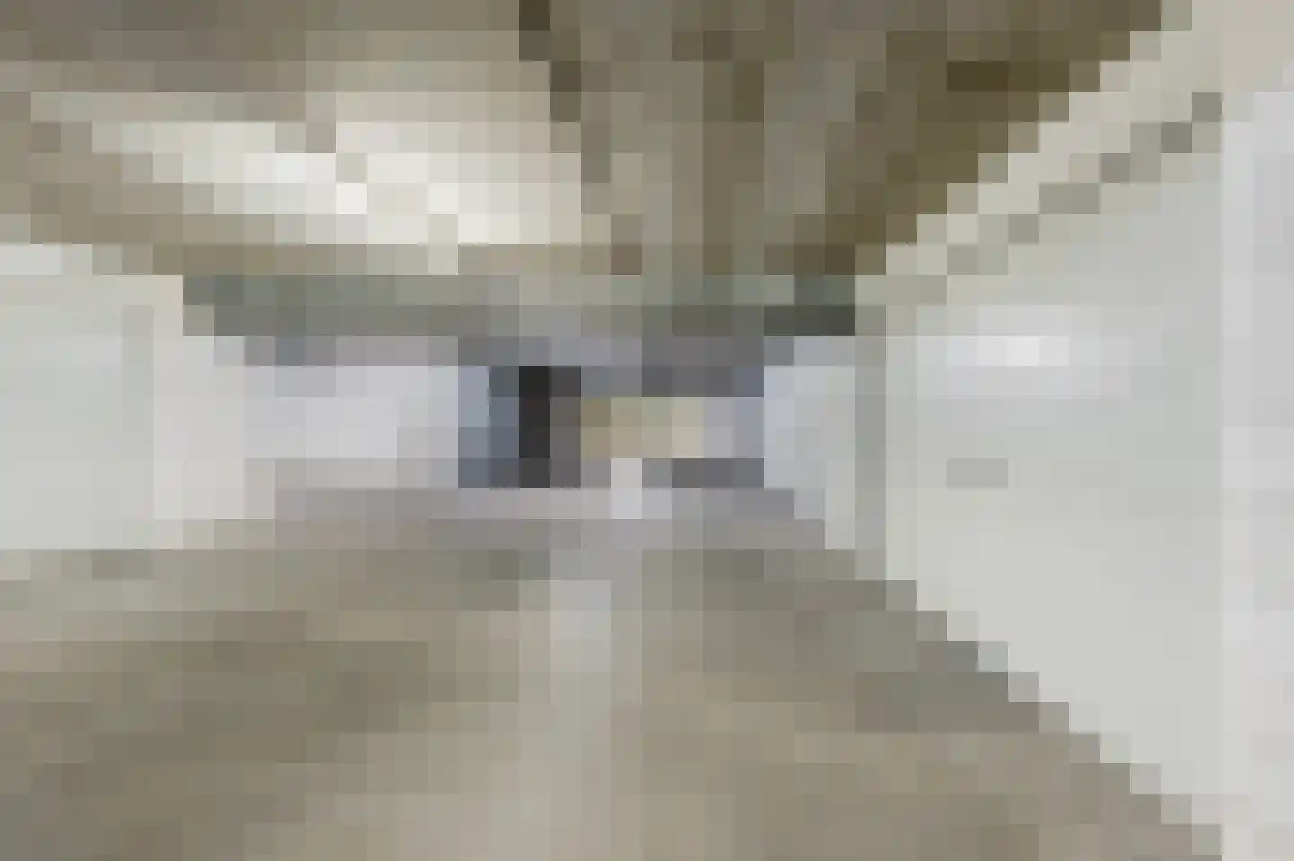 Ouddiemerlaan 2 H Diemen thumbnail 37