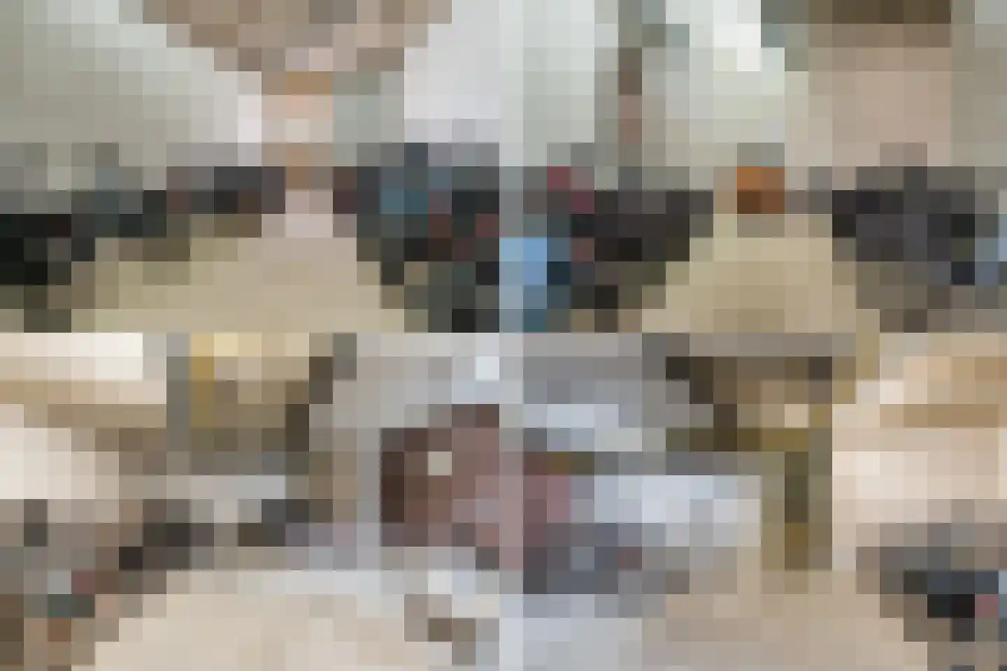 Ouddiemerlaan 2 H Diemen thumbnail 50