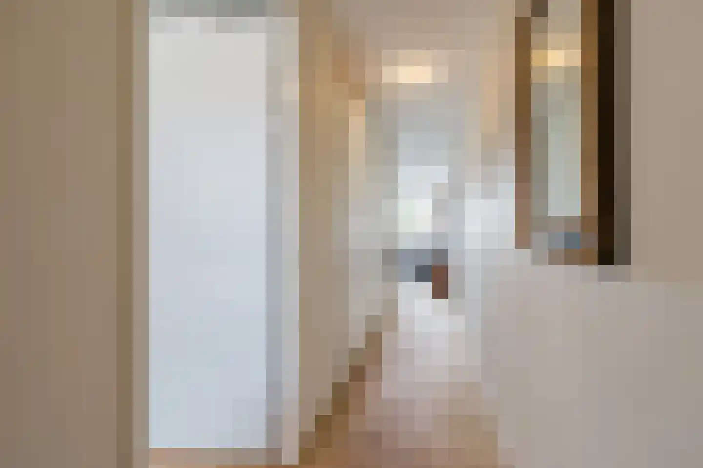 Ouddiemerlaan 2 H Diemen thumbnail 8