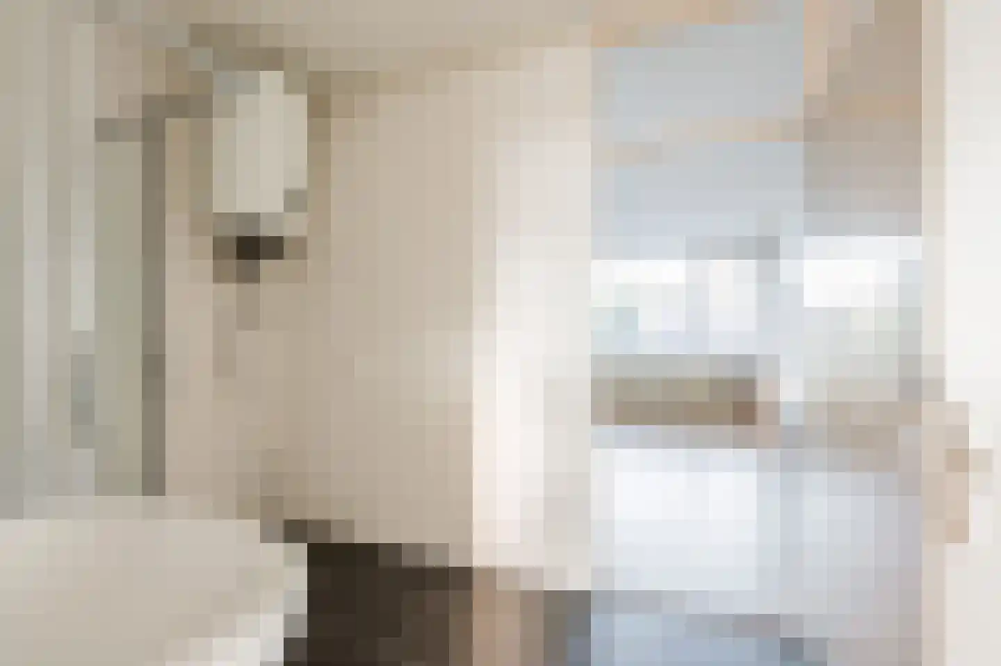 Ouddiemerlaan 231 Diemen thumbnail 23