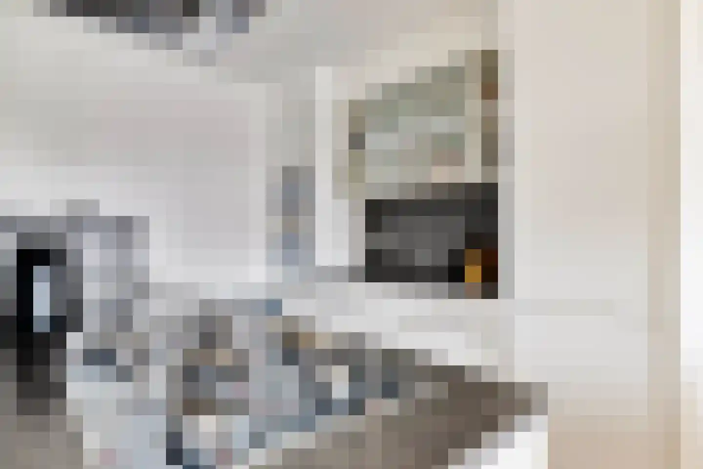 Ouddiemerlaan 4 G Diemen thumbnail 12