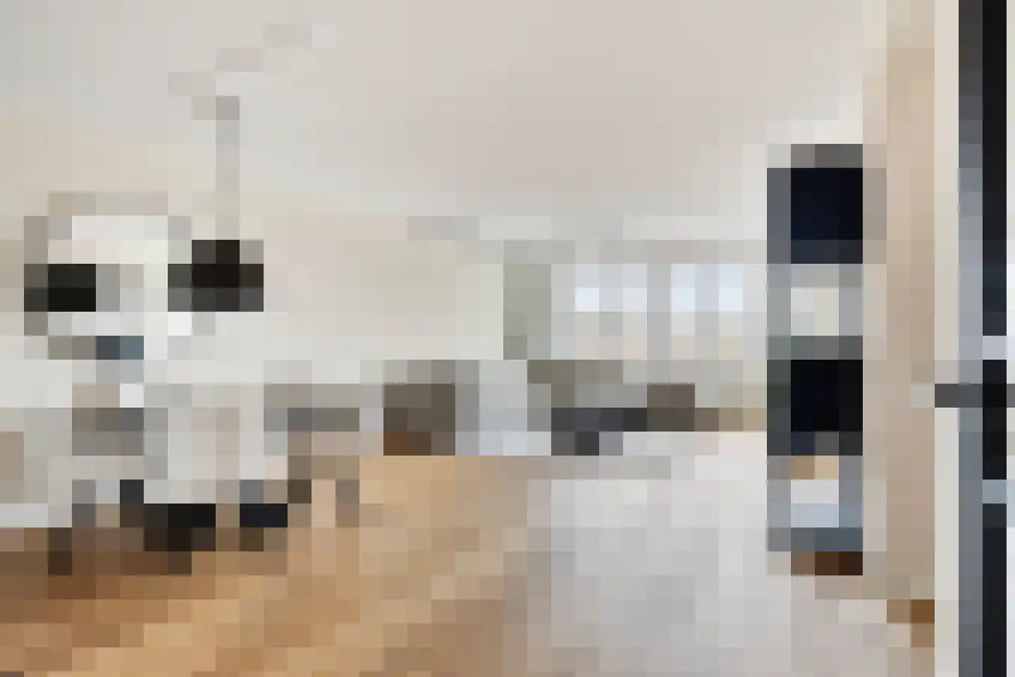 Ouddiemerlaan 4 G Diemen foto 2