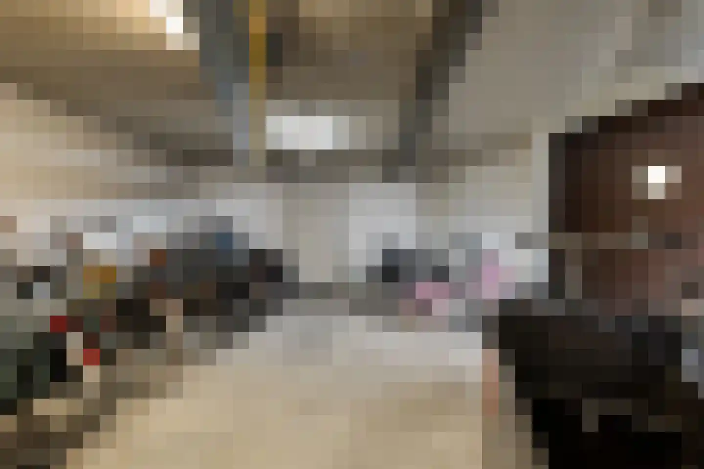 Ouddiemerlaan 4 G Diemen thumbnail 23