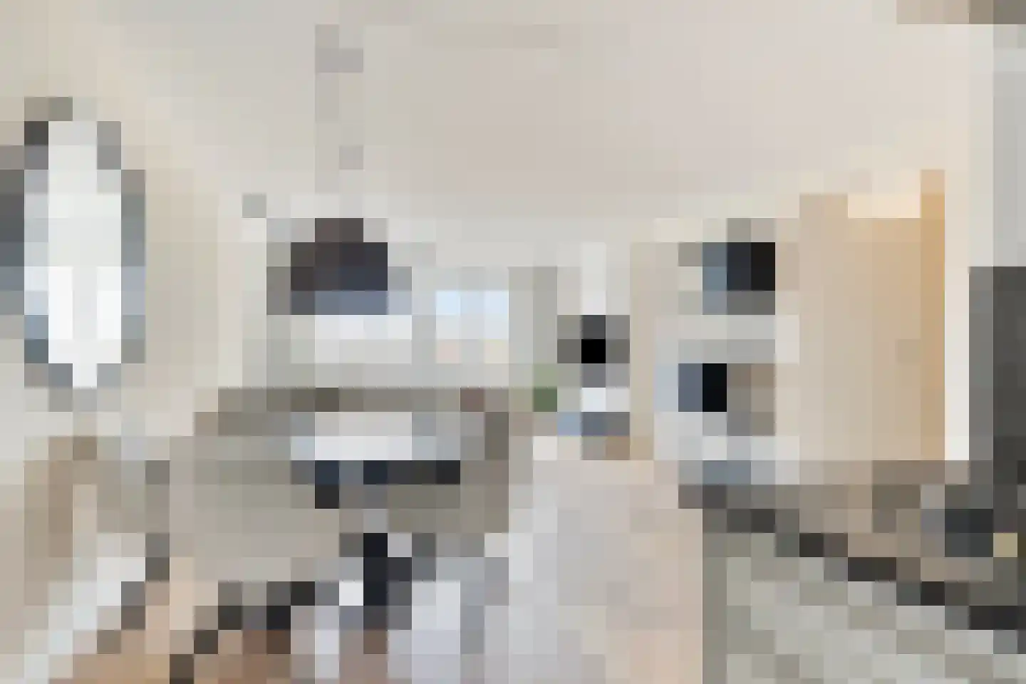 Ouddiemerlaan 4 G Diemen thumbnail 9
