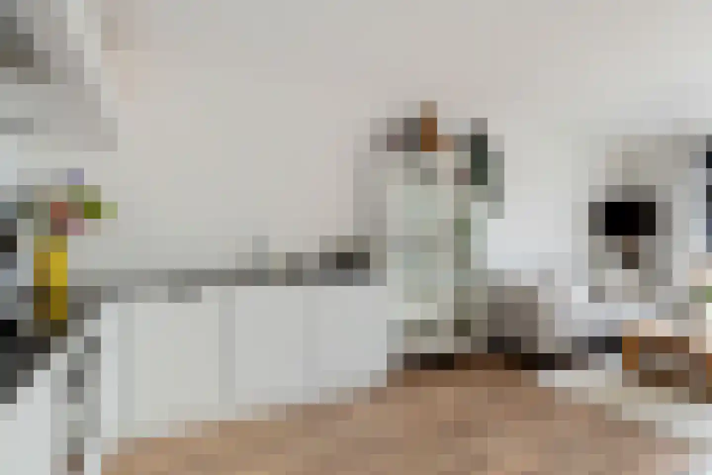 Ouddiemerlaan 4 M Diemen thumbnail 16