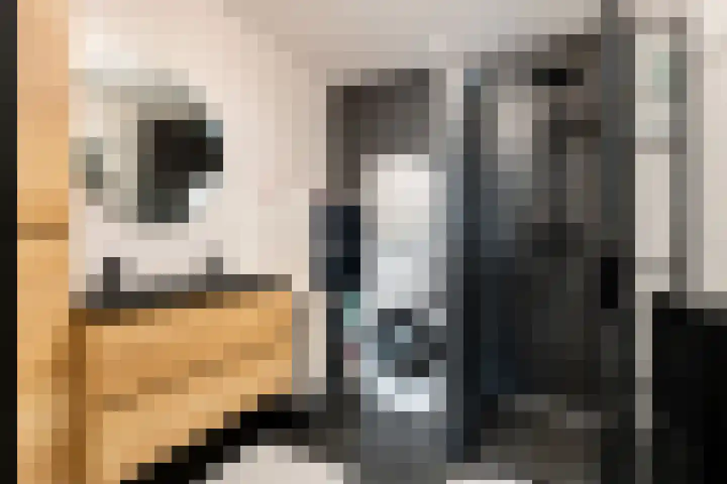 Ouddiemerlaan 4 M Diemen thumbnail 20